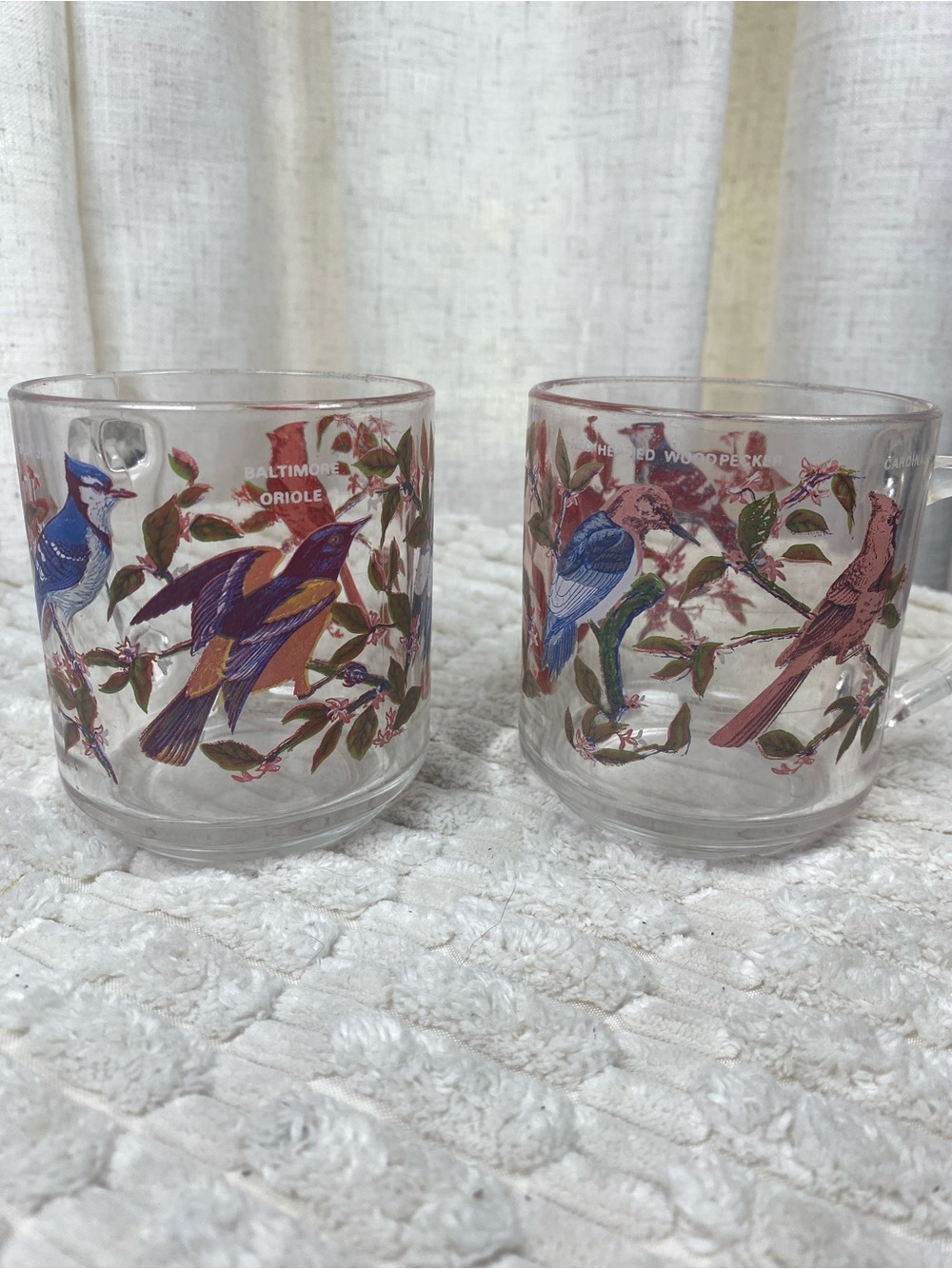 Vintage Arcoroc France "Pretty Birds" Glass Coffee Mugs (Set of 2)